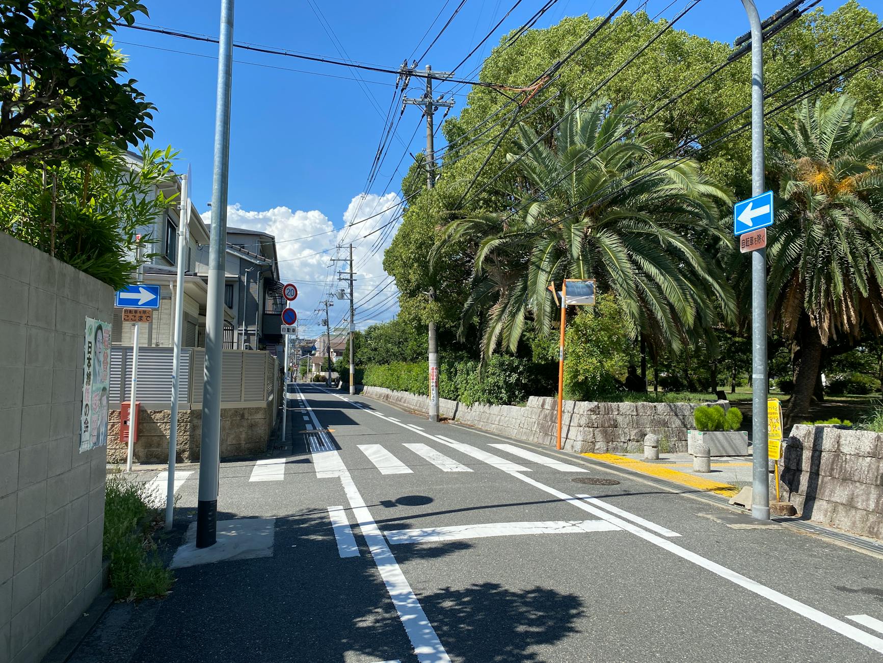 sunny urban street in osaka with palm trees
