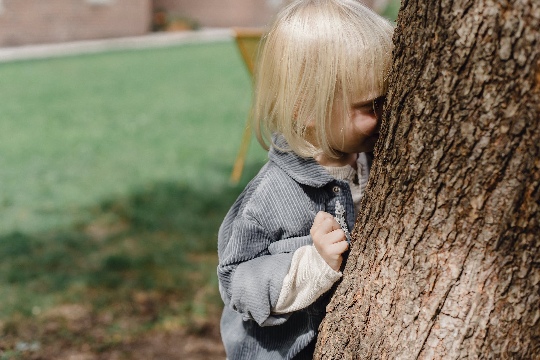 cute little boy standing behind tree