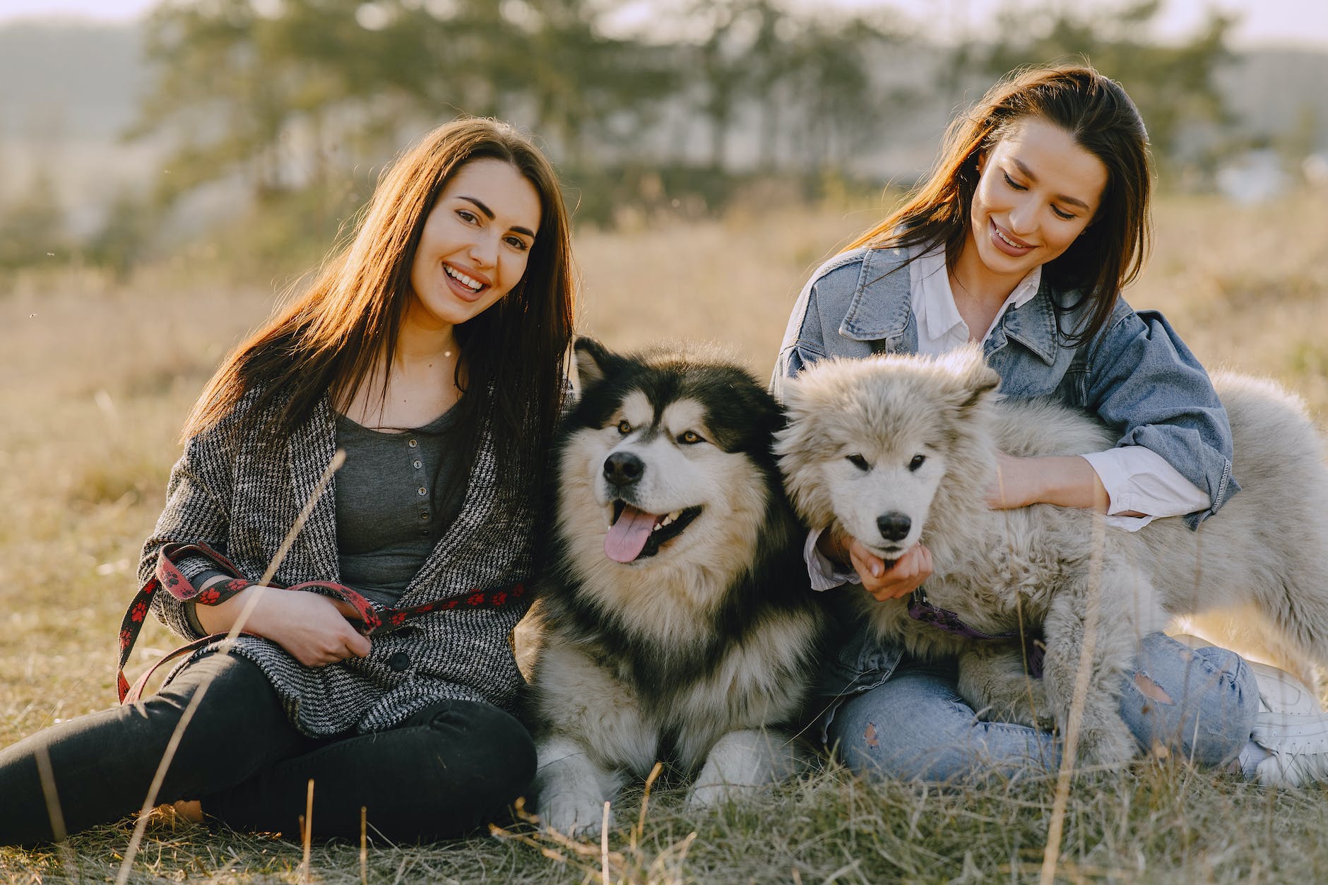 photo of women holding their dogs while sitting on grass