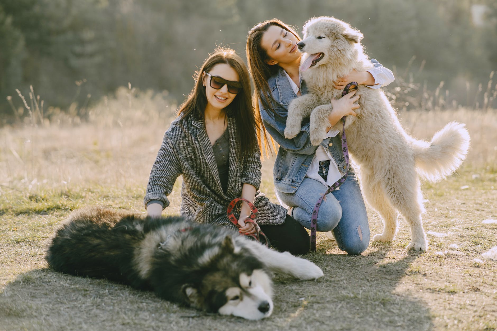 photo of women holding their dogs