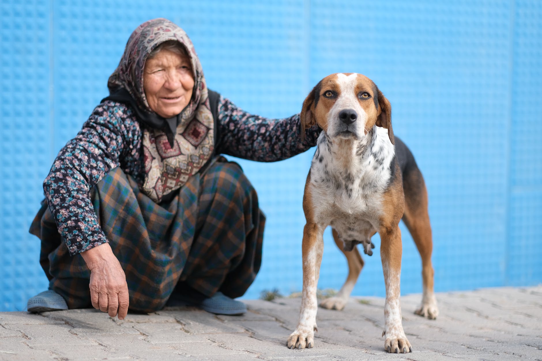elderly woman petting a dog