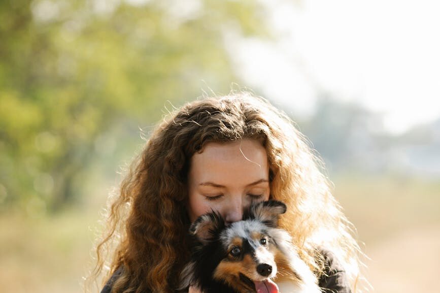 犬の散歩で抱っこは必要？ 抱っこすべき場面・避けるべき場面を解説